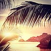 Phuket, Thailand | Picture