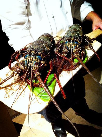 Lobster Dinner 