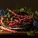 Cranberry Beans