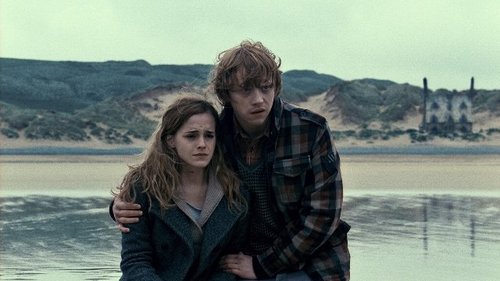Harry Potter and the Deathly Hallows: Part 1 Harry Potter and the Deathly Hallows: Part 1