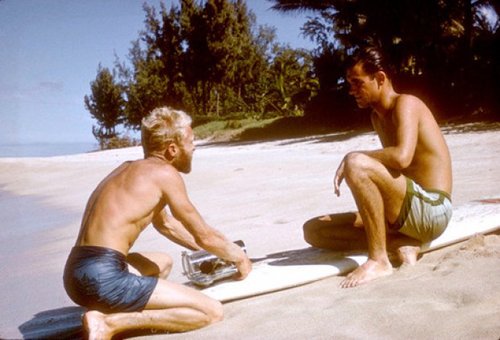 The Endless Summer The Endless Summer