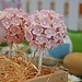 Flowered Cake Pops