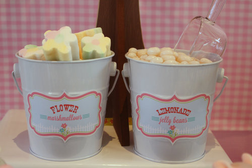 Candies Candies