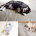 Quaker Pet SuperCat Catnip Crumples