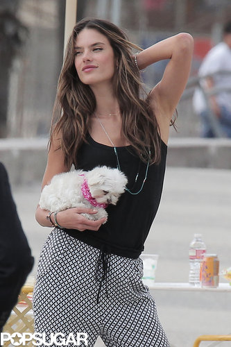 Alessandra Ambrosio Braves the Cold in a Bikini For Victoria's Secret Alessandra Ambrosio Braves the Cold in a Bikini For Victoria's Secret