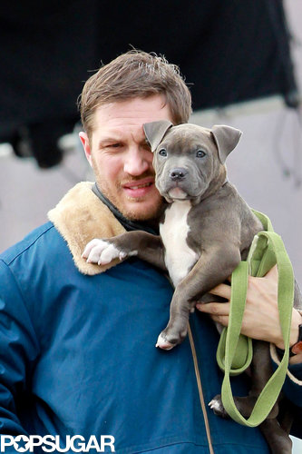Tom Hardy Cuddles Up to a Canine Costar on Set Tom Hardy Cuddles Up to a Canine Costar on Set