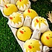 Hatching Chicks Cake Pops