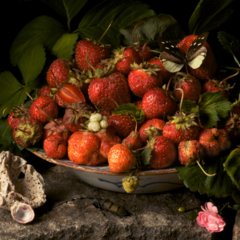 Photography That Looks Like Old Master Paintings