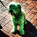 Green All Over