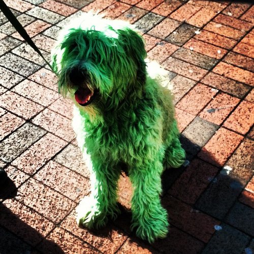 Green All Over Green All Over