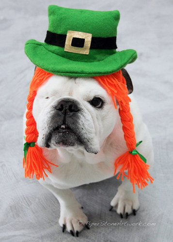 Where's the Pot of Gold? Where's the Pot of Gold?