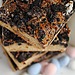 Cadbury Egg Oreo Cookie Bars