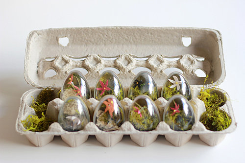 Easter Egg Terrariums Easter Egg Terrariums
