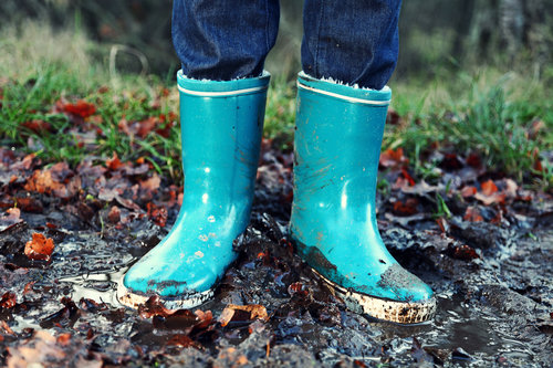 Mud and Dirt Mud and Dirt