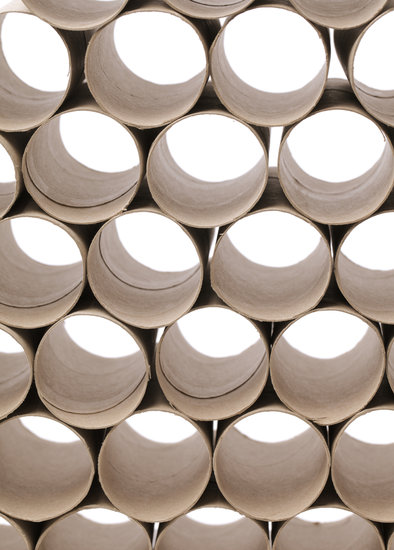 Toilet Paper Rolls Toilet Paper Rolls