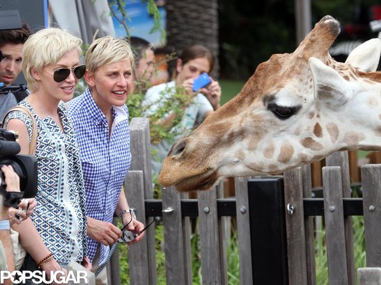 Ellen DeGeneres and Portia de Rossi met a giraffe at the Taronga Zoo.
Ellen DeGeneres and Portia de Rossi met a giraffe at the Taronga Zoo.