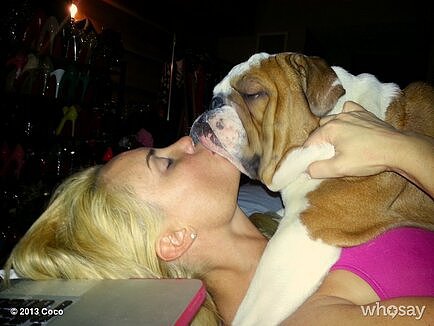 Coco got a whole lot of love from her dog.
Source: Twitter user cocosworld
Coco got a whole lot of love from her dog.
Source: Twitter user cocosworld