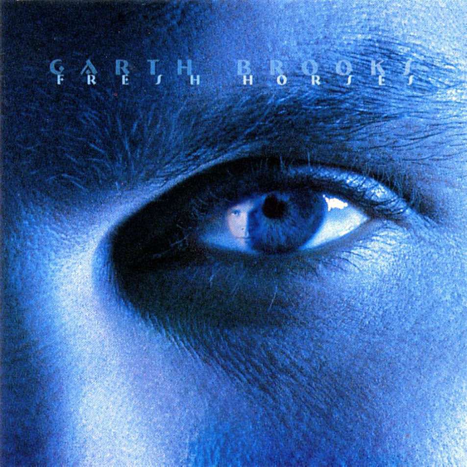 "To Make You Feel My Love" by Garth Brooks "To Make You Feel My Love" by Garth Brooks