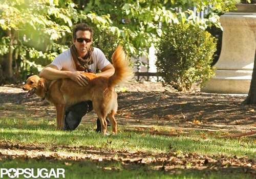Ryan Reynolds leaned on his pal, Baxter, during a walk in Boston in September 2011.
Ryan Reynolds leaned on his pal, Baxter, during a walk in Boston in September 2011.
