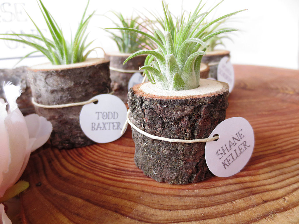 Tree-Stump Planter Tree-Stump Planter