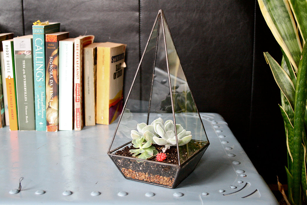 Obelisk Terrarium Obelisk Terrarium