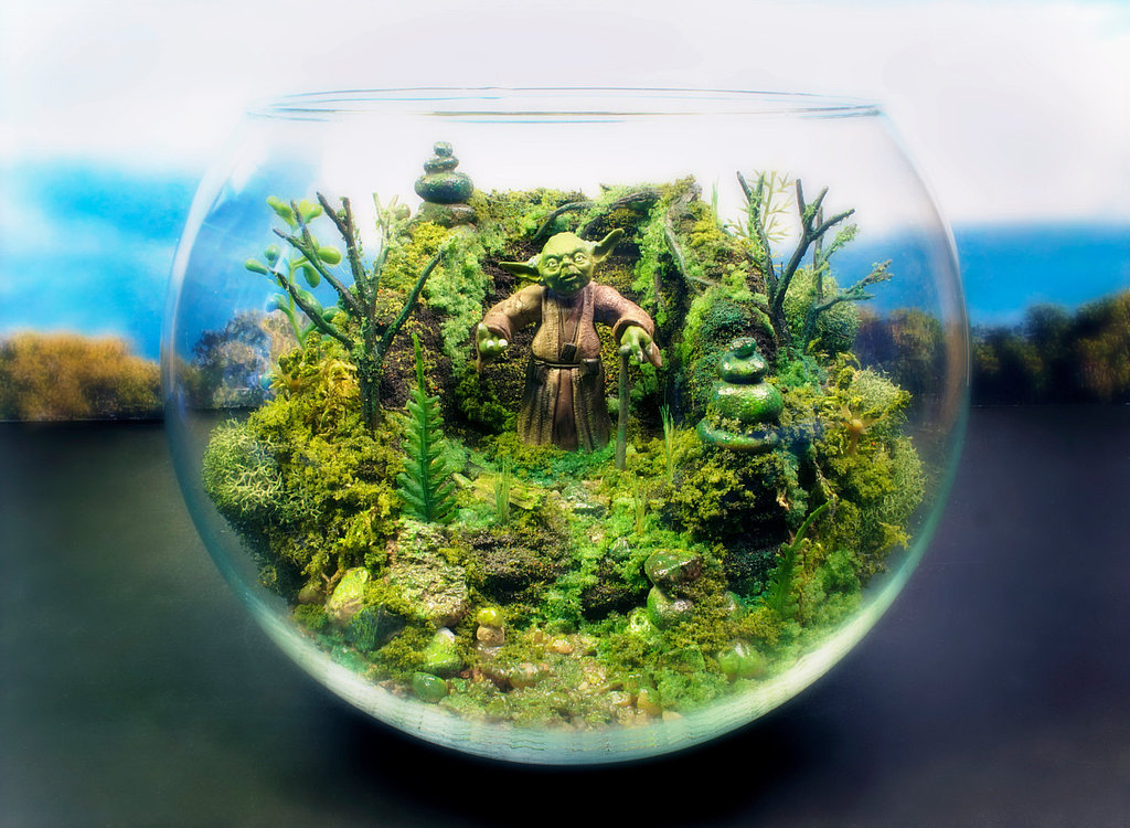 Yoda Terrarium Yoda Terrarium
