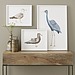 Hang Art