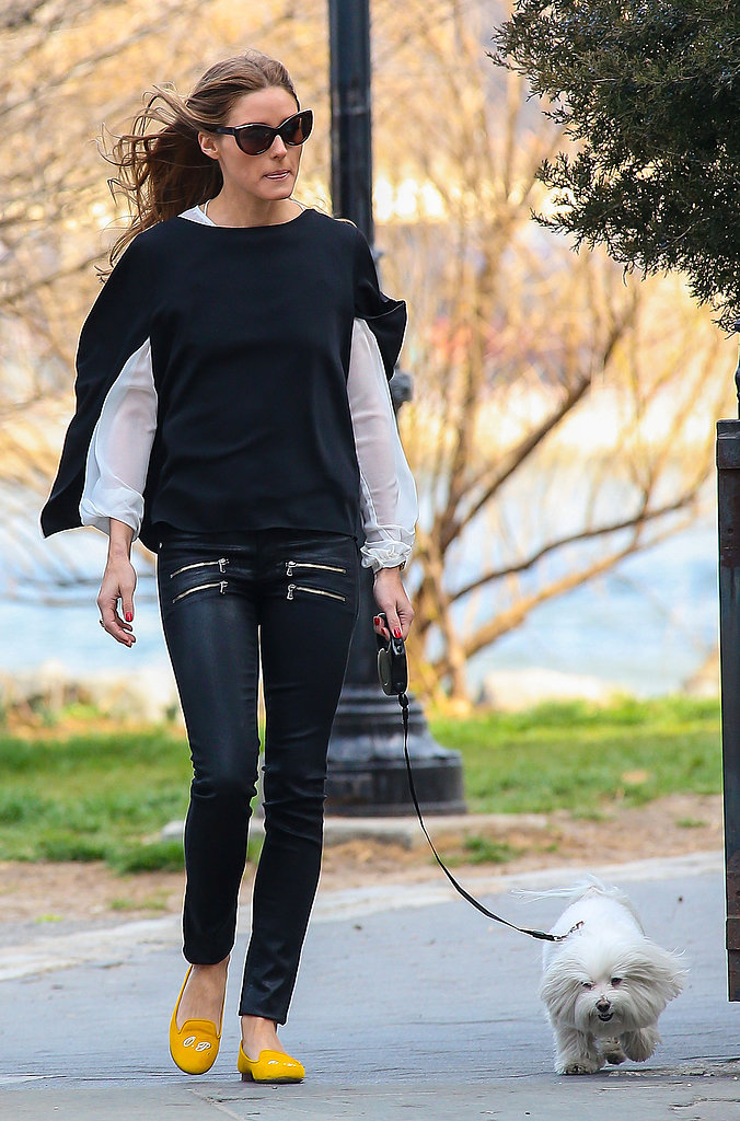 Olivia Palermo walked her dog in a pair of black leather pants with a cool double-zip detail. Yellow monogrammed loafers, a black cape sweater, a silky white blouse, and cat-eye sunglasses rounded out her chic NYC street style.
Olivia Palermo walked her dog in a pair of black leather pants with a cool double-zip detail. Yellow monogrammed loafers, a black cape sweater, a silky white blouse, and cat-eye sunglasses rounded out her chic NYC street style.