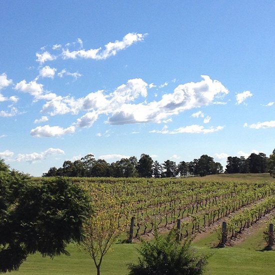 Have a Wine Country Weekend Have a Wine Country Weekend