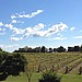 Have a Wine Country Weekend