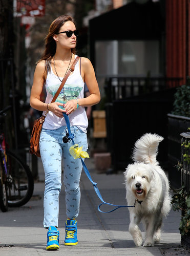 Olivia Wilde walked her dog wearing these adorable Paige Premium Denim blue bicycle-print jeans ($189) and funky two-tone sneakers.
Olivia Wilde walked her dog wearing these adorable Paige Premium Denim blue bicycle-print jeans ($189) and funky two-tone sneakers.