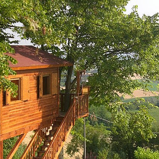 Tree House Rentals