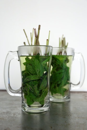 Mint Tea Mint Tea