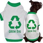 Eco-Friendly Pet Essentials