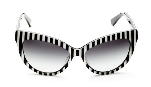 Cat-Eye Cat-Eye