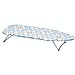 Compact Ironing Board