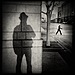 David Ingraham