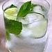 Garden and Tonic