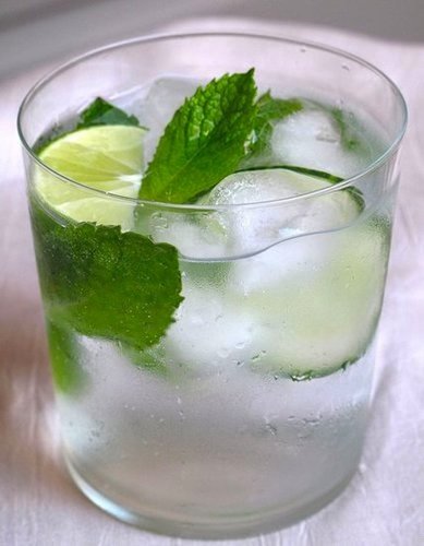 Garden and Tonic Garden and Tonic