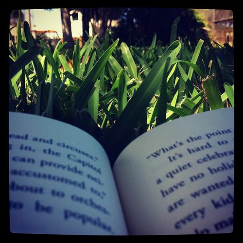 Mandicoyne was reading amongst the grass.
Mandicoyne was reading amongst the grass.