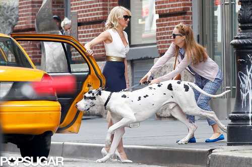 Cameron Kisses Her Costar in Between Canine Scenes Cameron Kisses Her Costar in Between Canine Scenes