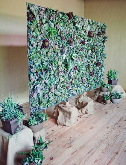 Count this as one of the most stunning backdrops we've seen. Made from plants like aloe vera, this wall is pure succulent sweetness.
Photo by The Nichols via Green Wedding Shoes
Count this as one of the most stunning backdrops we've seen. Made from plants like aloe vera, this wall is pure succulent sweetness.
Photo by The Nichols via Green Wedding Shoes