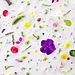 Food and Flowers by Julie Lee