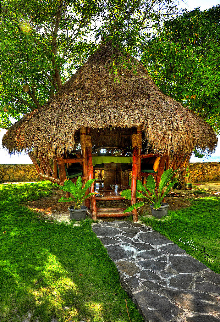 Tropical Hideaway Tropical Hideaway