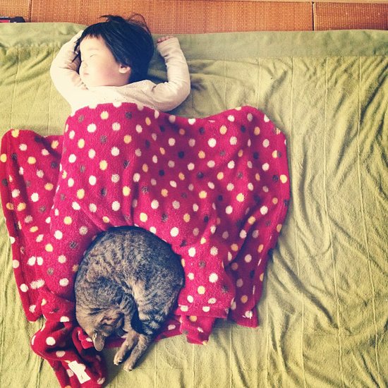 Oh, and if you survived the last one, here's the girl/cat version of the cute pair: Toco the cat and his best friend.
Source: Instagram user makicocomo
Oh, and if you survived the last one, here's the girl/cat version of the cute pair: Toco the cat and his best friend.
Source: Instagram user makicocomo