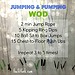 Jumping & Pumping Workout