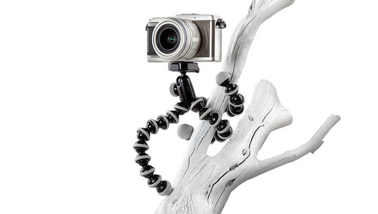 GorillaPod GorillaPod