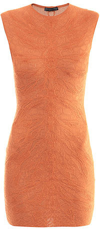 Alexander McQueen Dragonfly jacquard knitted dress