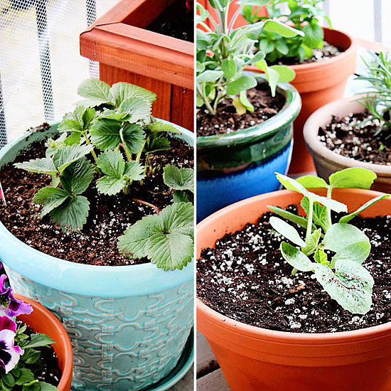 Plant a Garden Plant a Garden