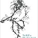 To Kill a Mockingbird